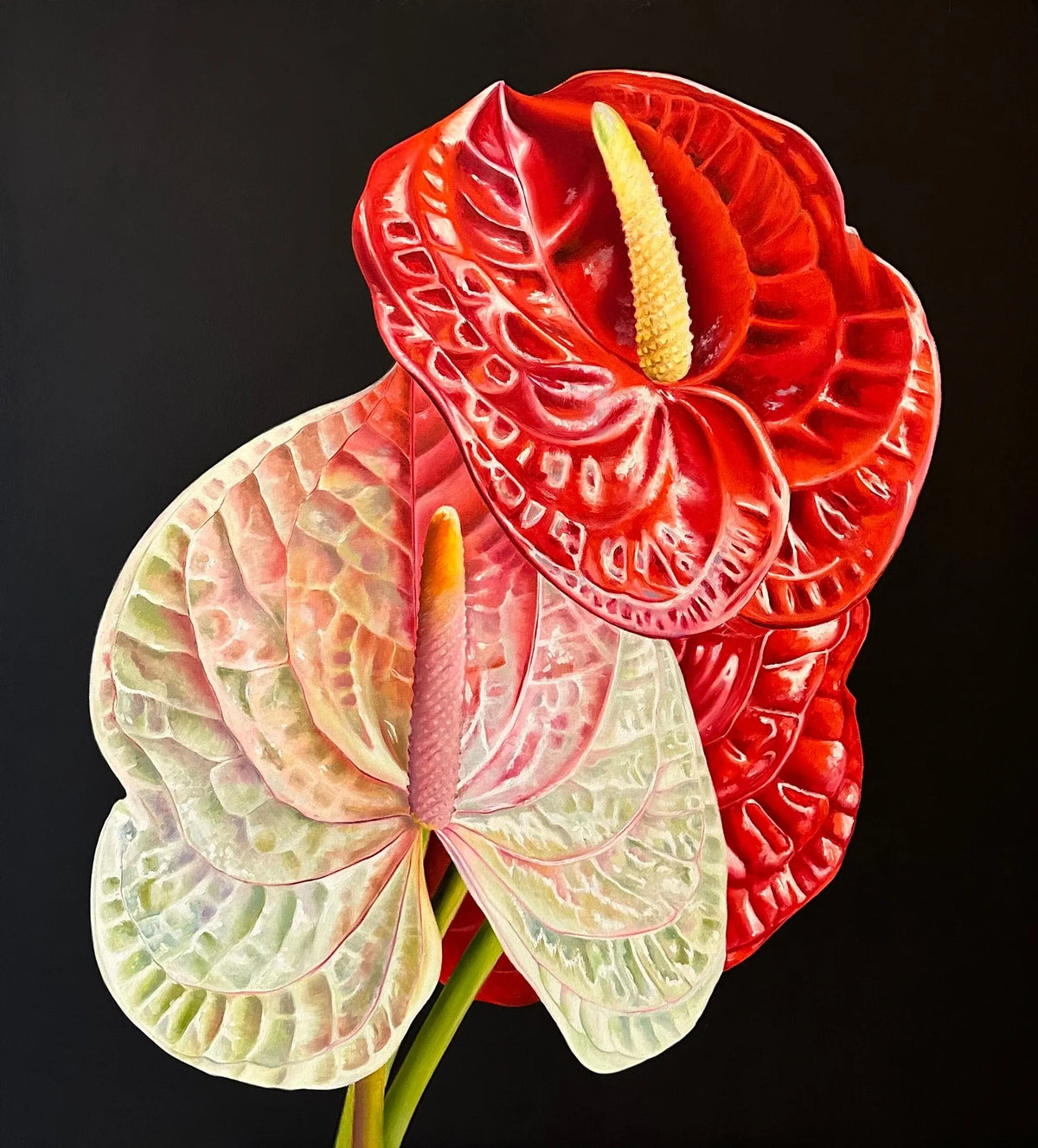 Anthurium