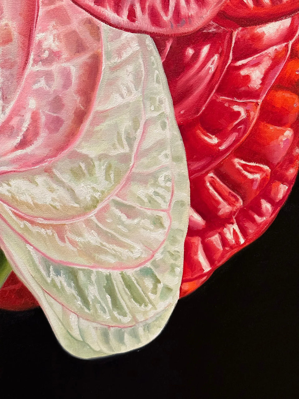 Anthurium