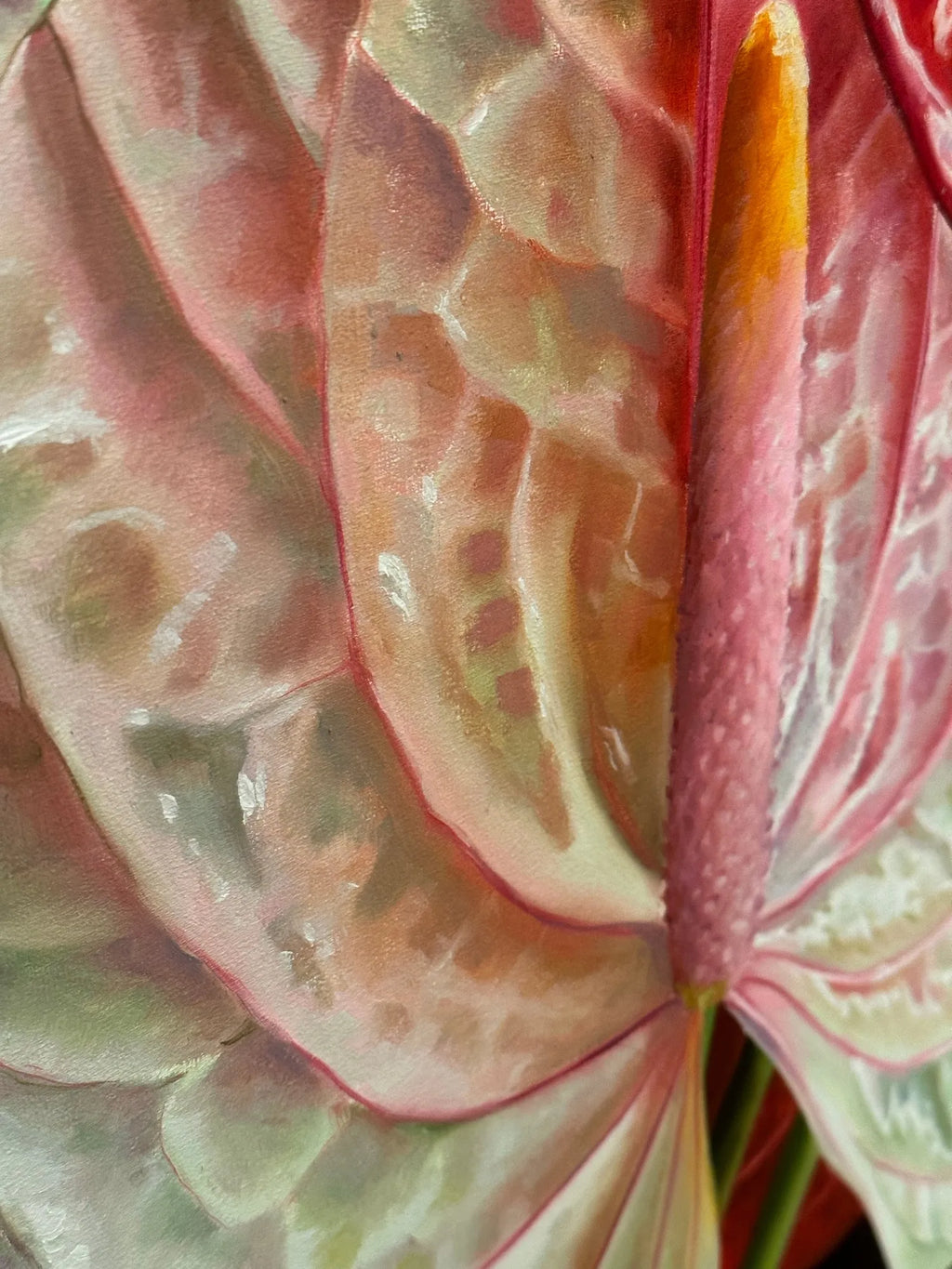 Anthurium