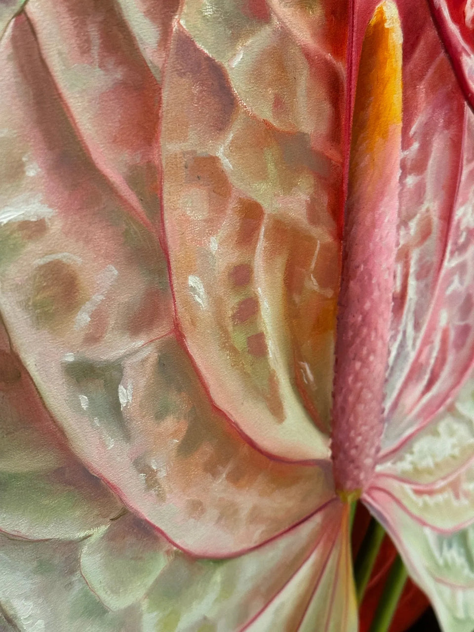 Anthurium