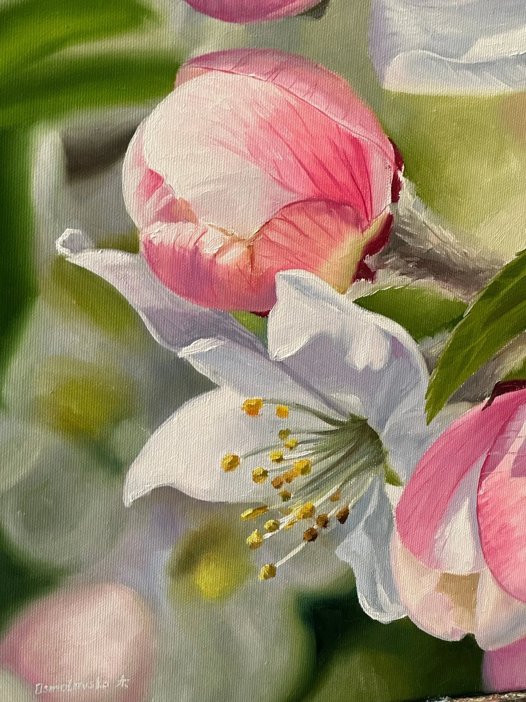Apple blossom