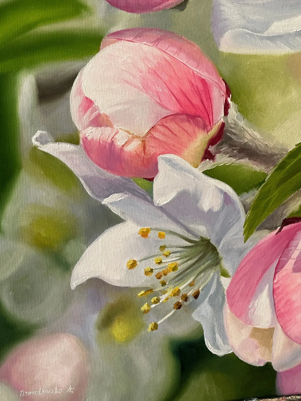 Apple blossom