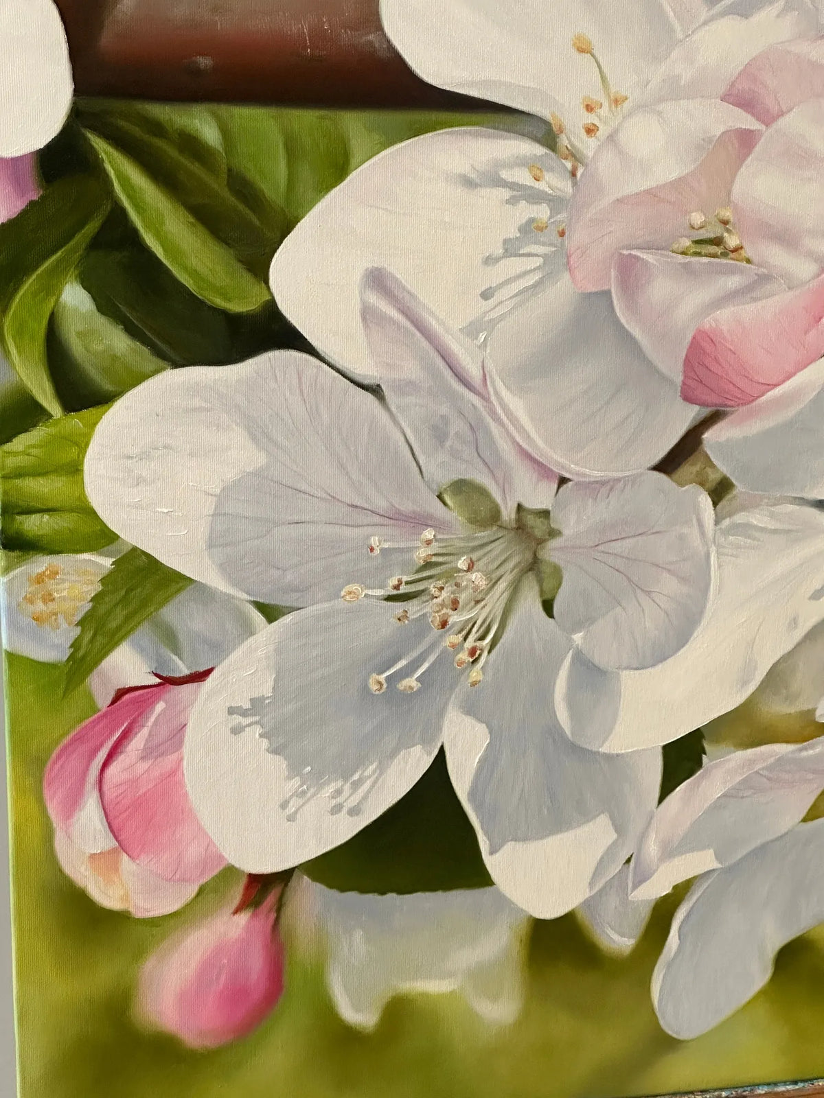 Apple Blossom