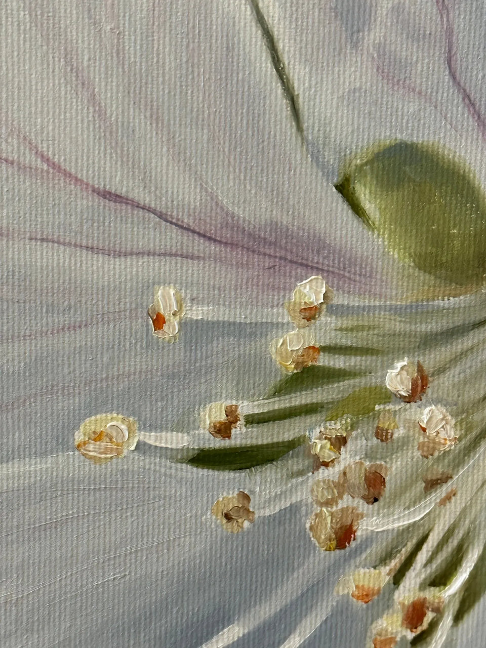 Apple Blossom