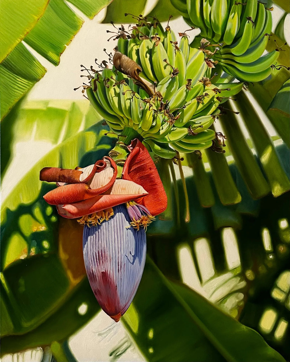 Banana Flower