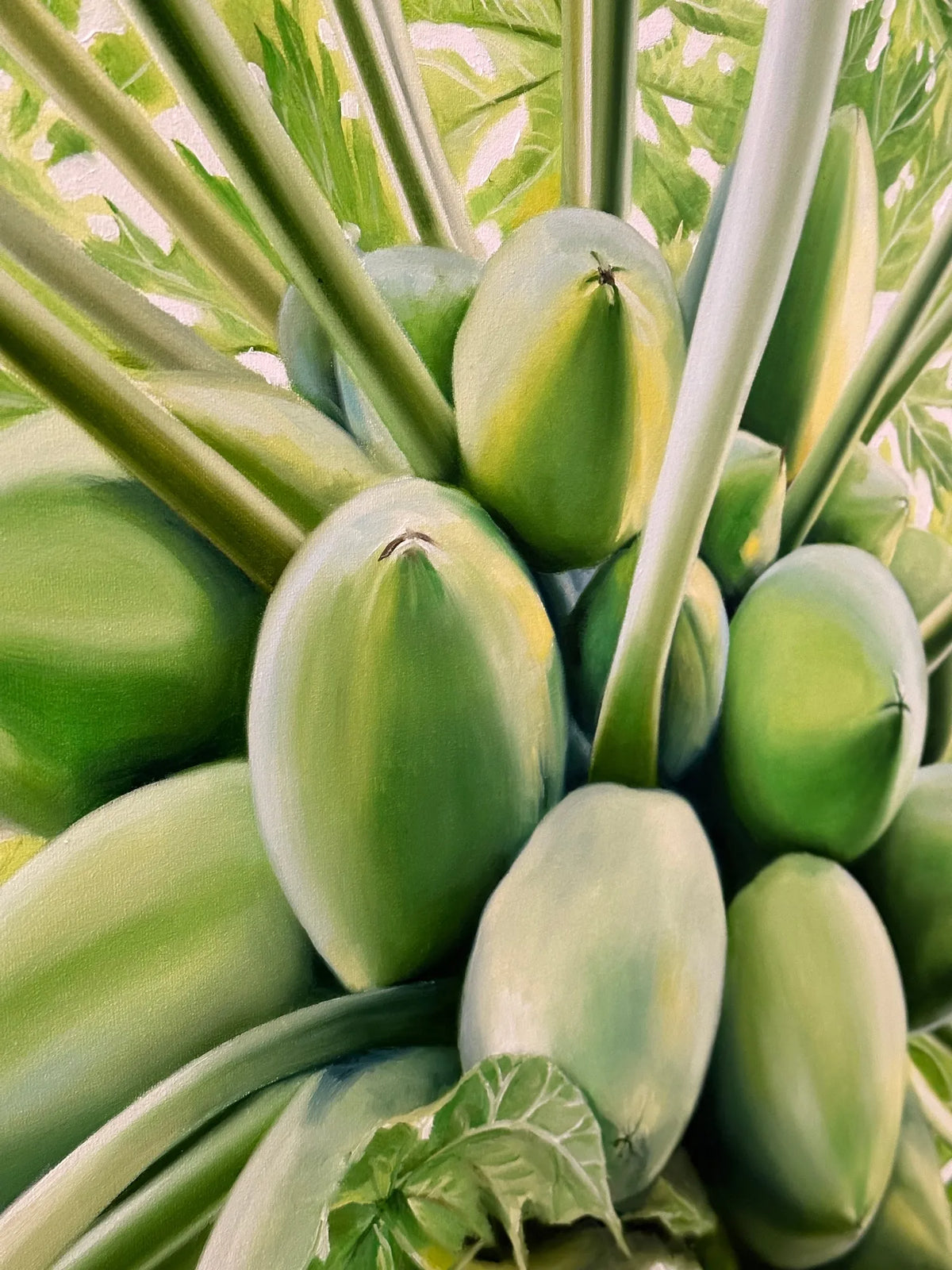 Hawaiian Morning