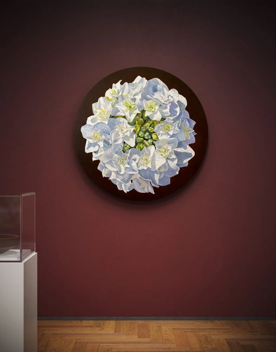 Hydrangea