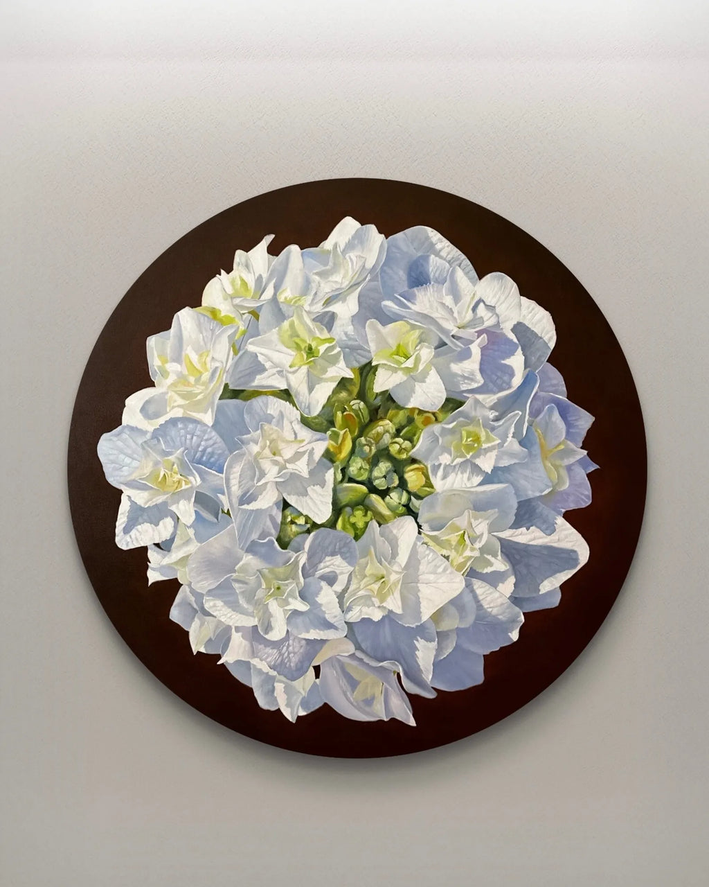 Hydrangea