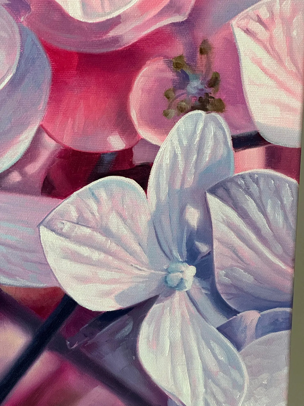 Hydrangea
