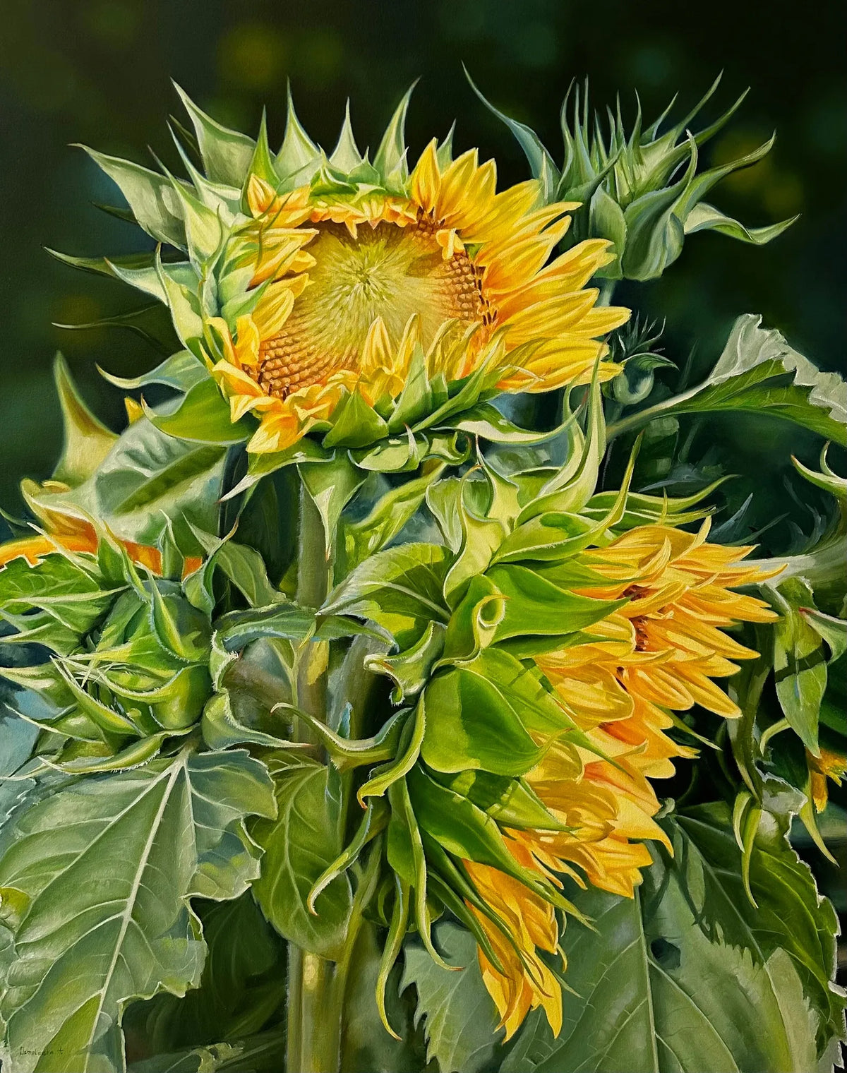In the Whisper of Sunlight