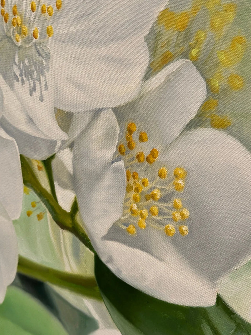 Jasmine