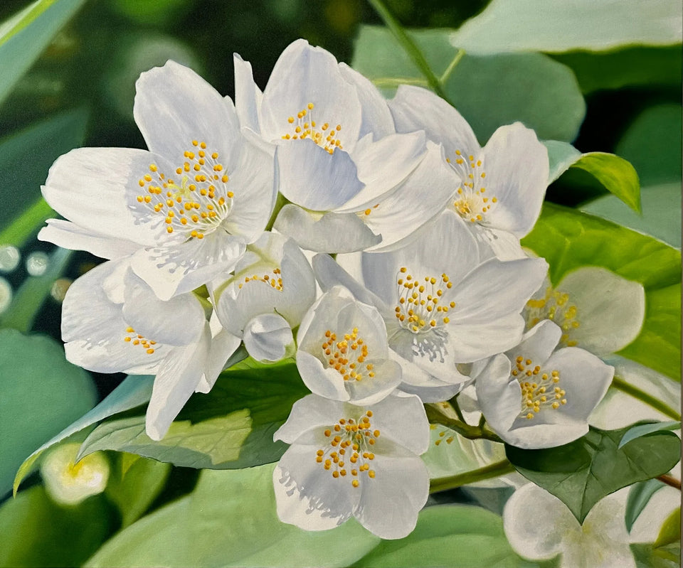 Jasmine