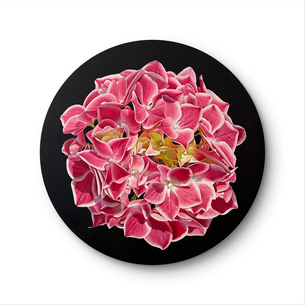 Pink Hydrangea