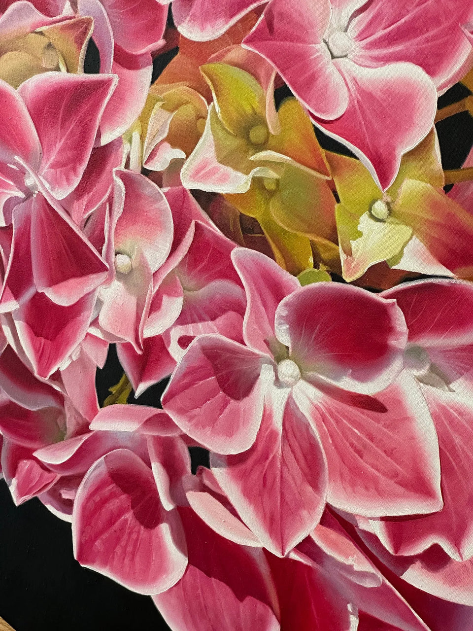 Pink Hydrangea