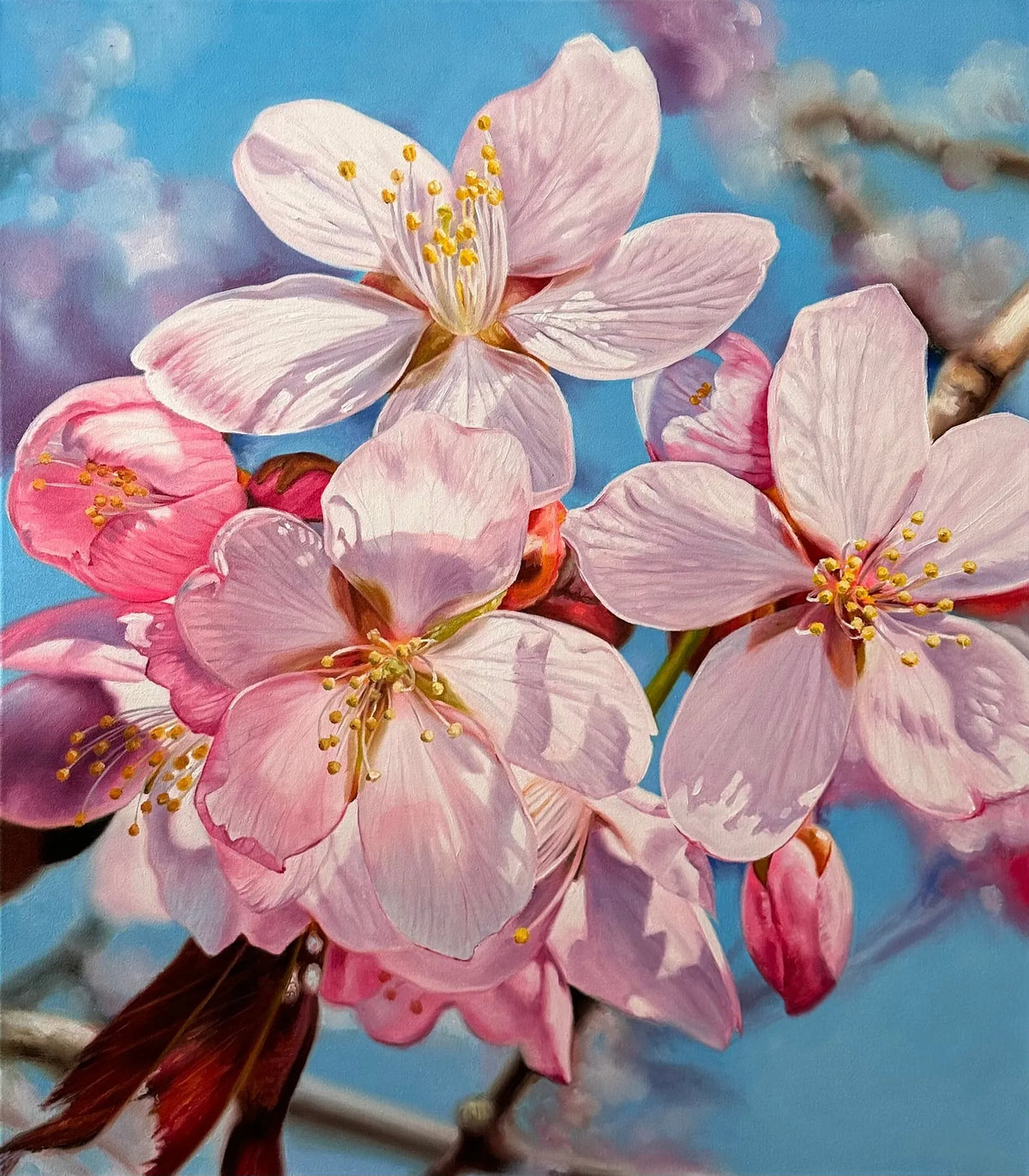 Plum Blossom