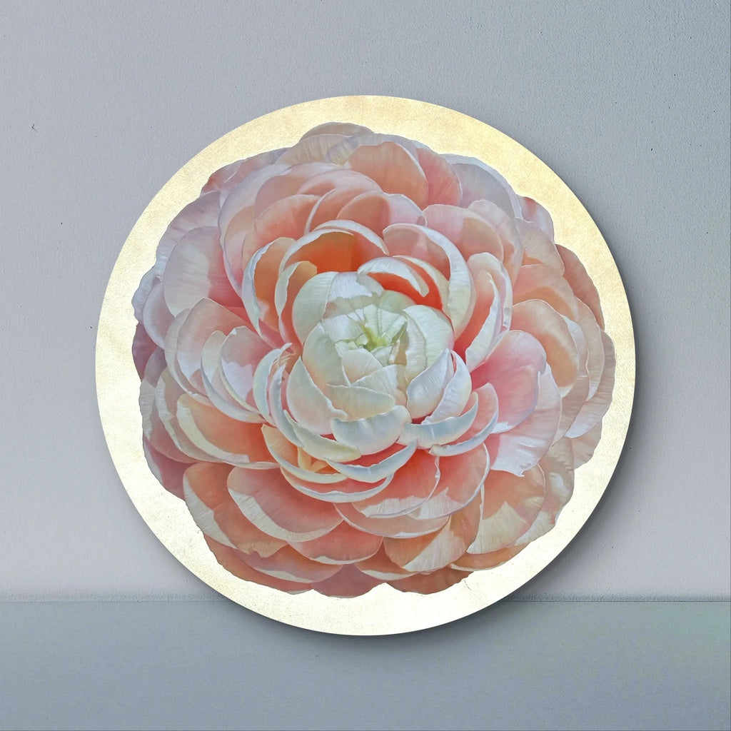 Ranunculus on Gold