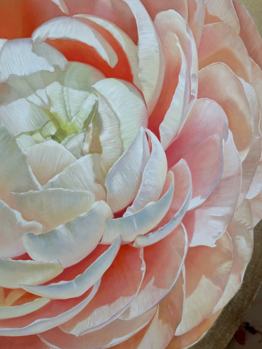 Ranunculus on Gold