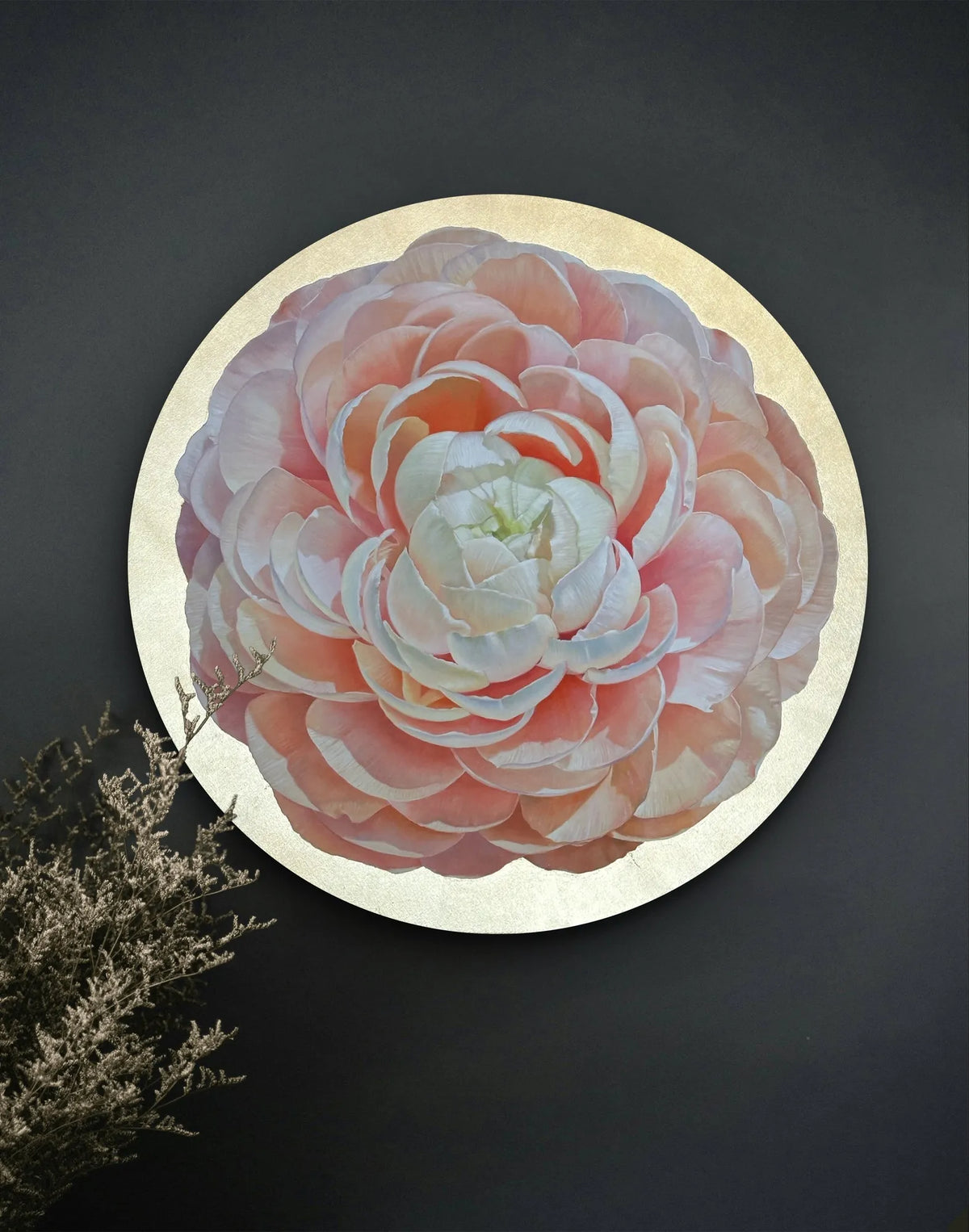 Ranunculus on Gold