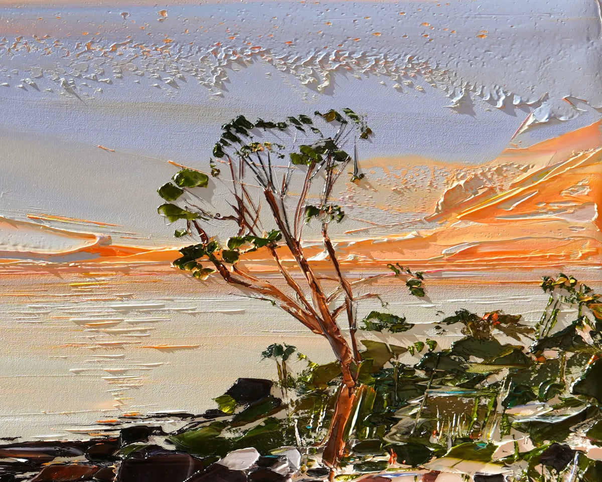 CUBBY HOUSE COVE