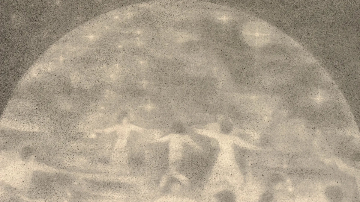 Singularity in Joy
