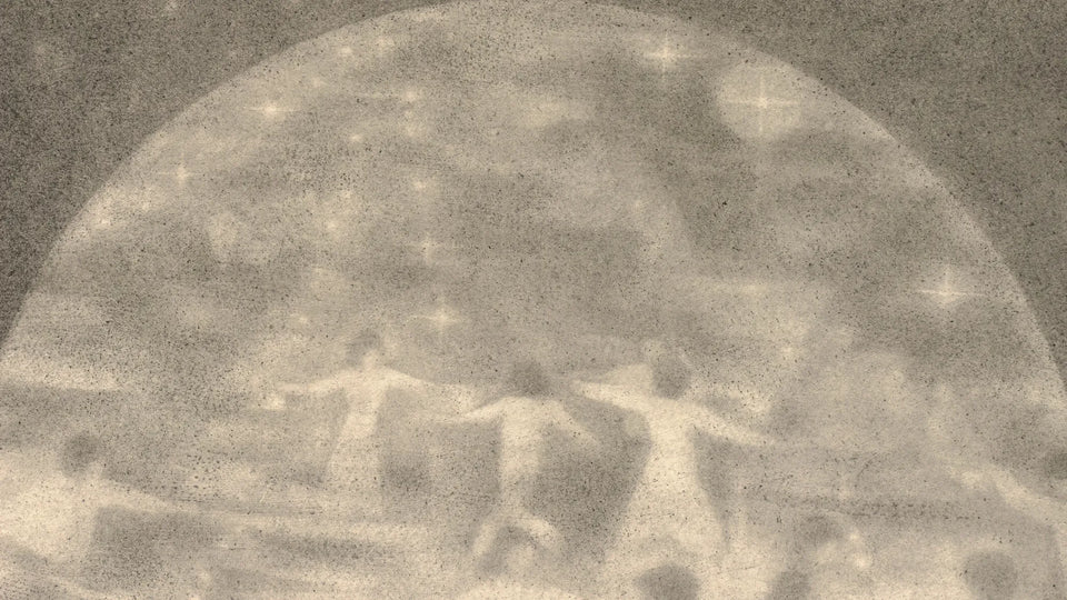 Singularity in Joy