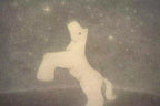 Starry Starry Night