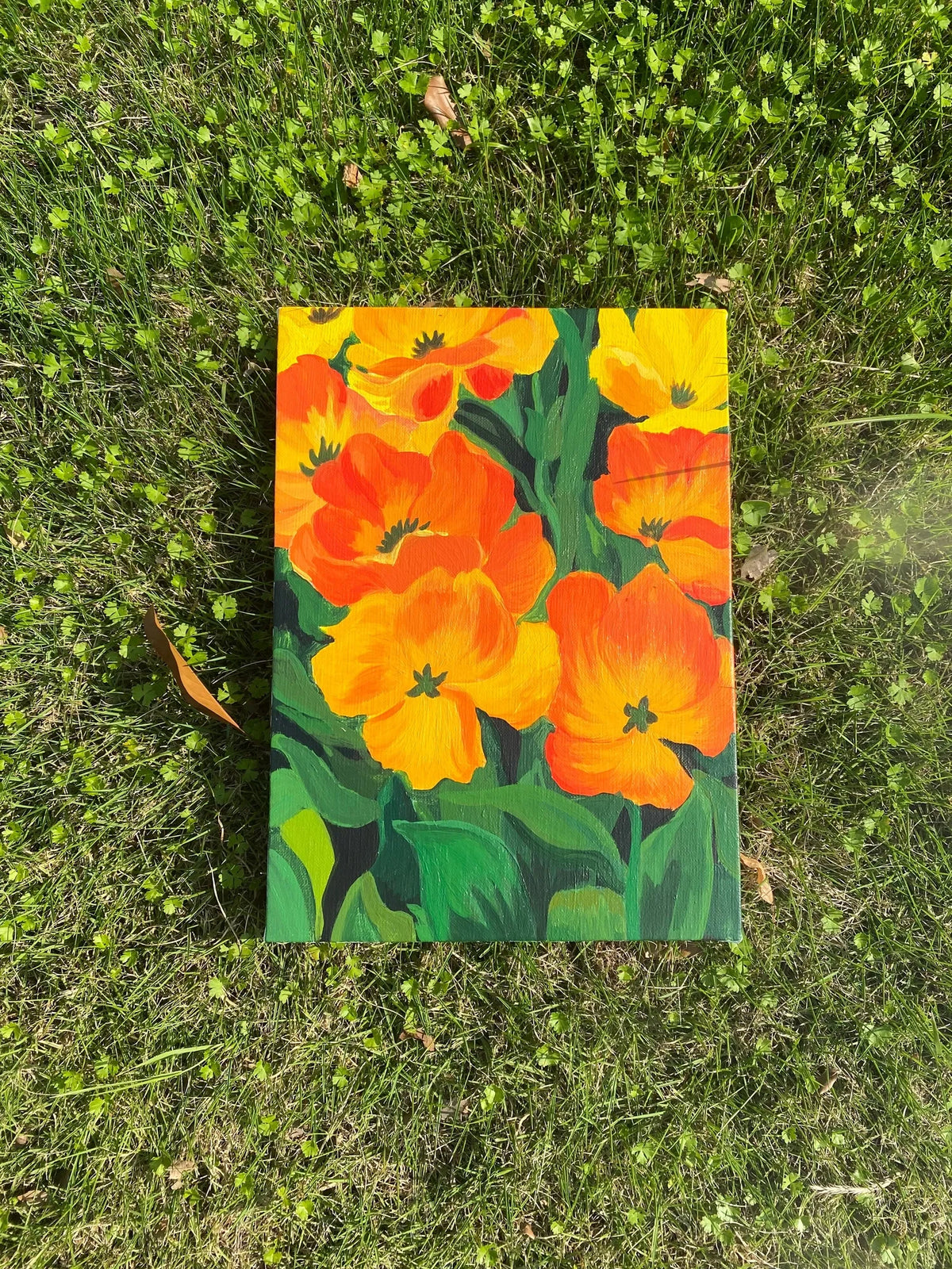 A Fantasy of Urban Tulips