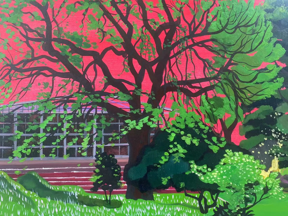 Across the Forest