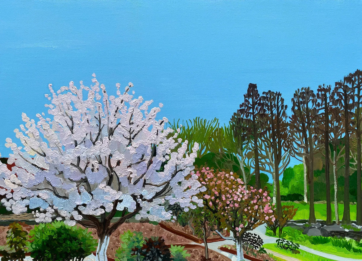 Cherry Blossom