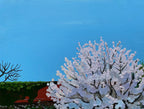 Cherry Blossom