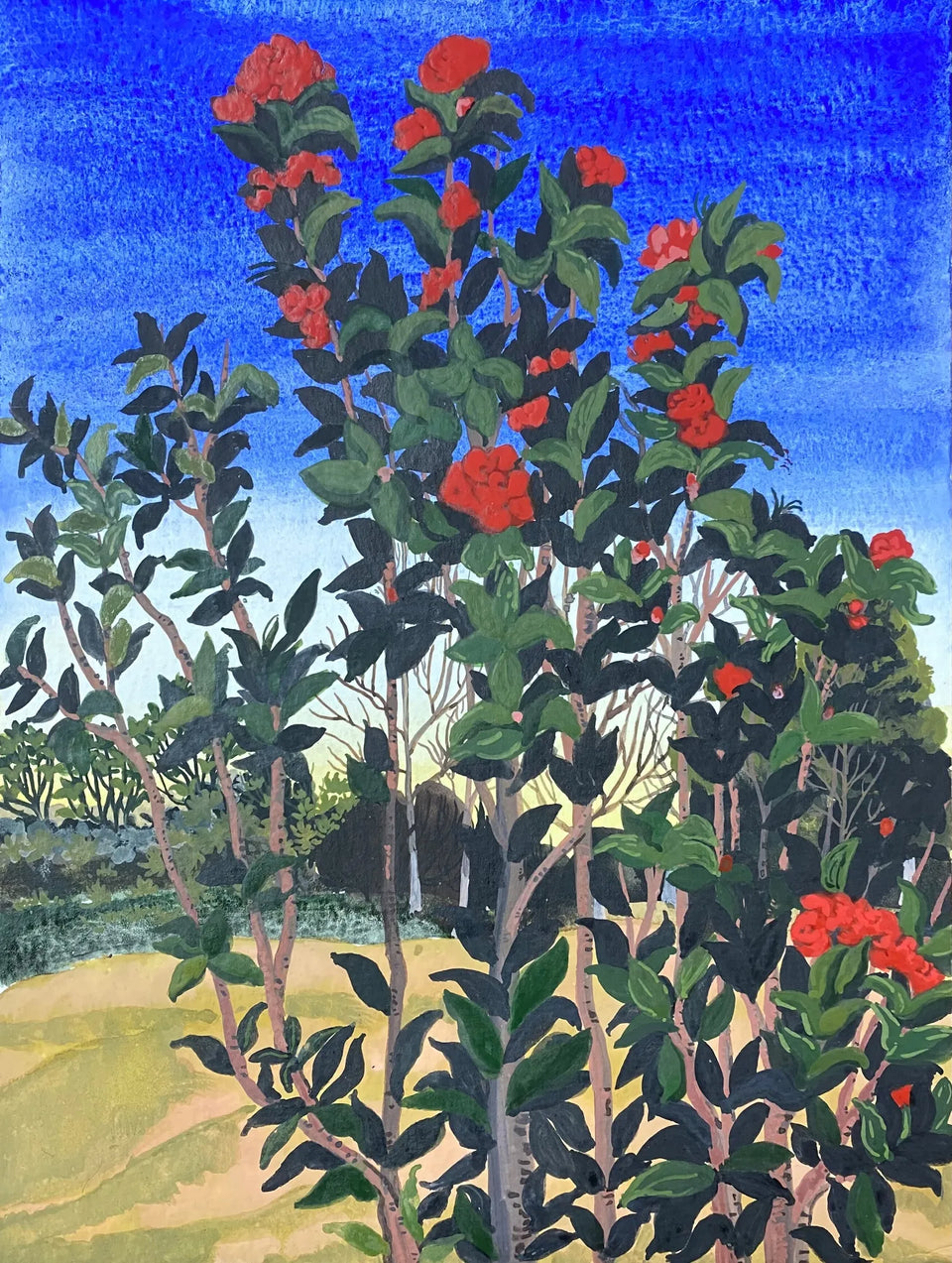Rosy Red