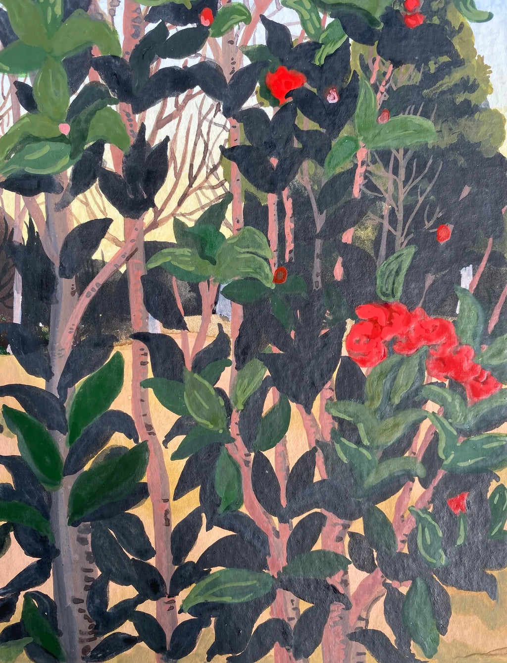 Rosy Red
