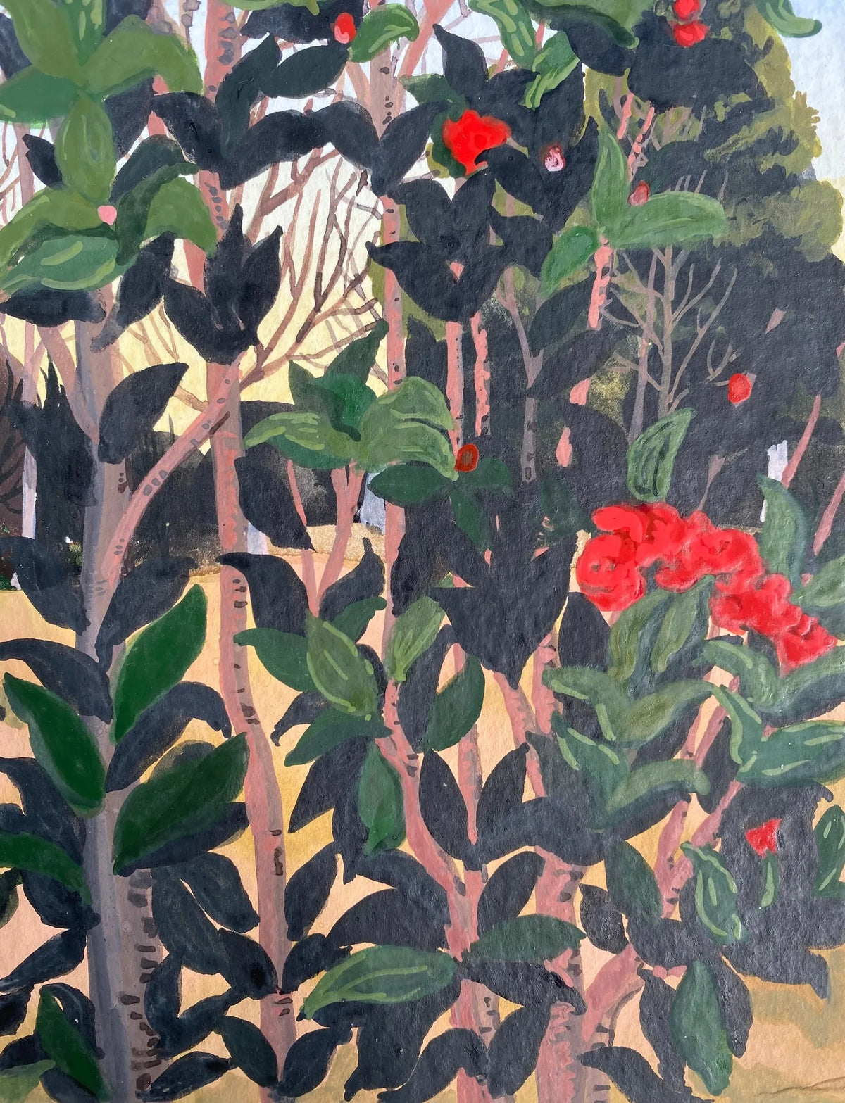 Rosy Red