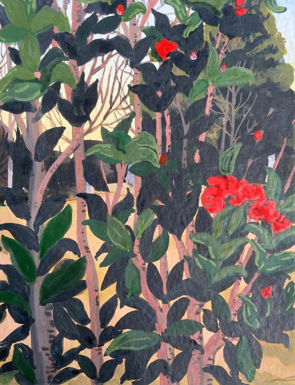 Rosy Red