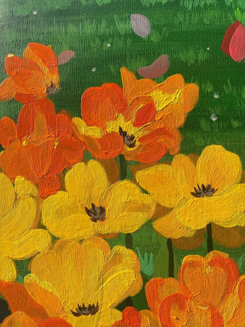Secret of the Tulips