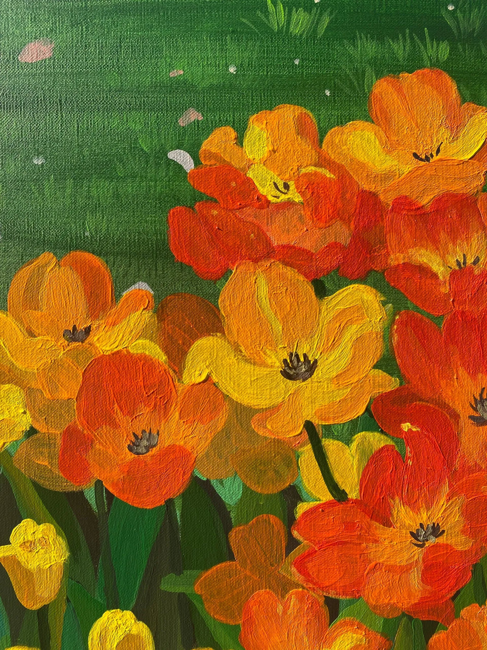 Secret of the Tulips