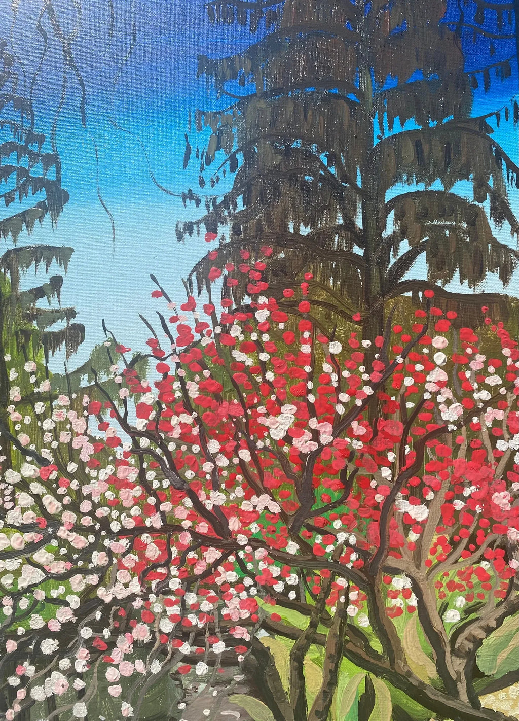 Spring