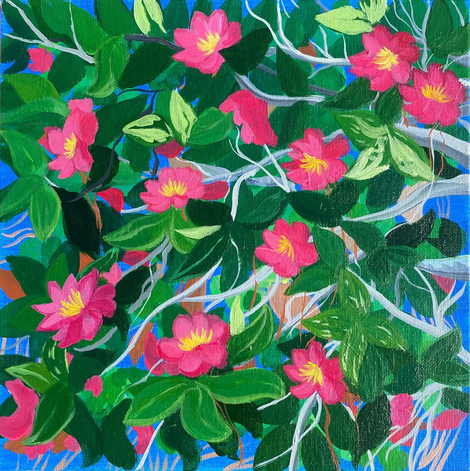 The Camellias