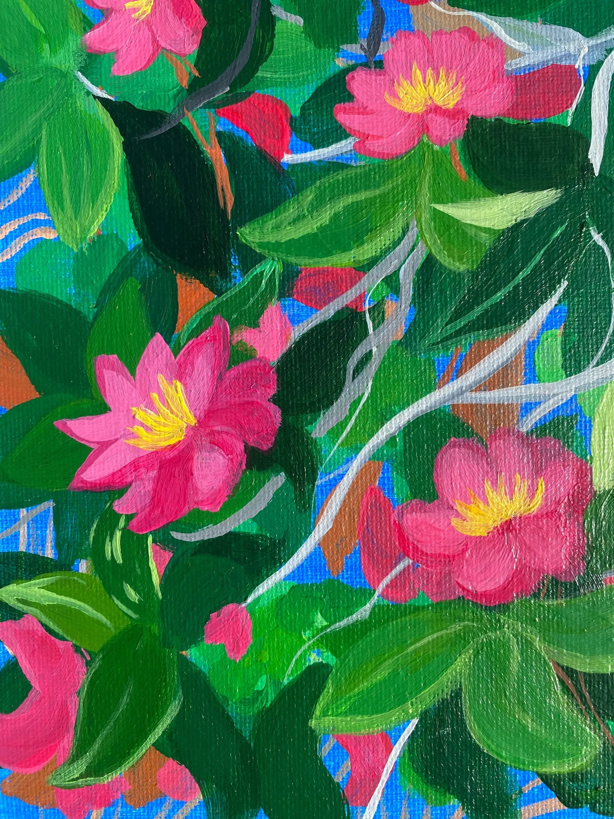 The Camellias