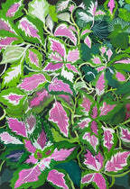 The Dance of Living Leaves