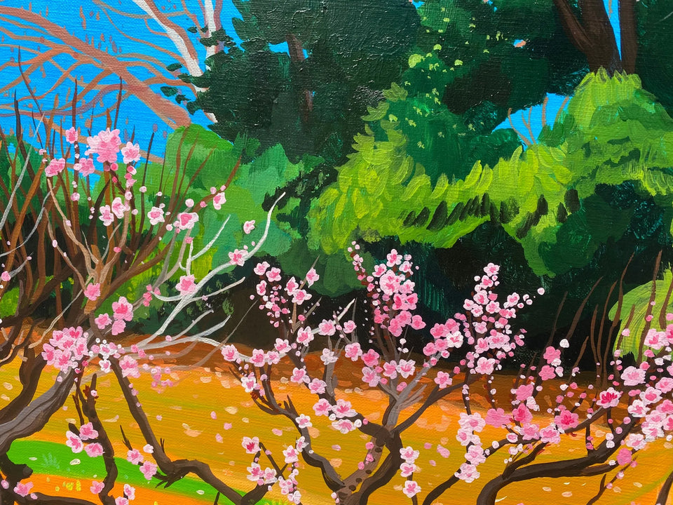 The Hidden Spring