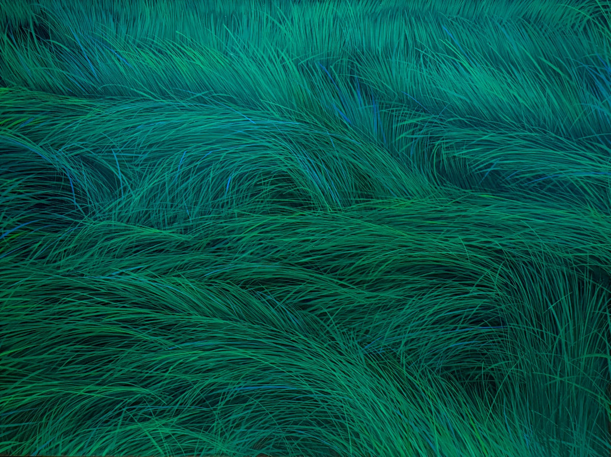 Breath of the Earth