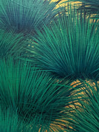 Hedgehog