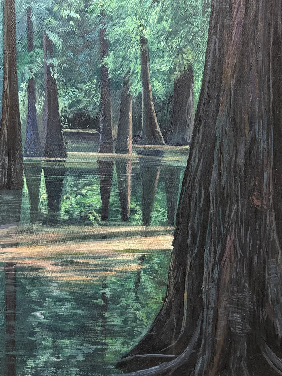 Metasequoia