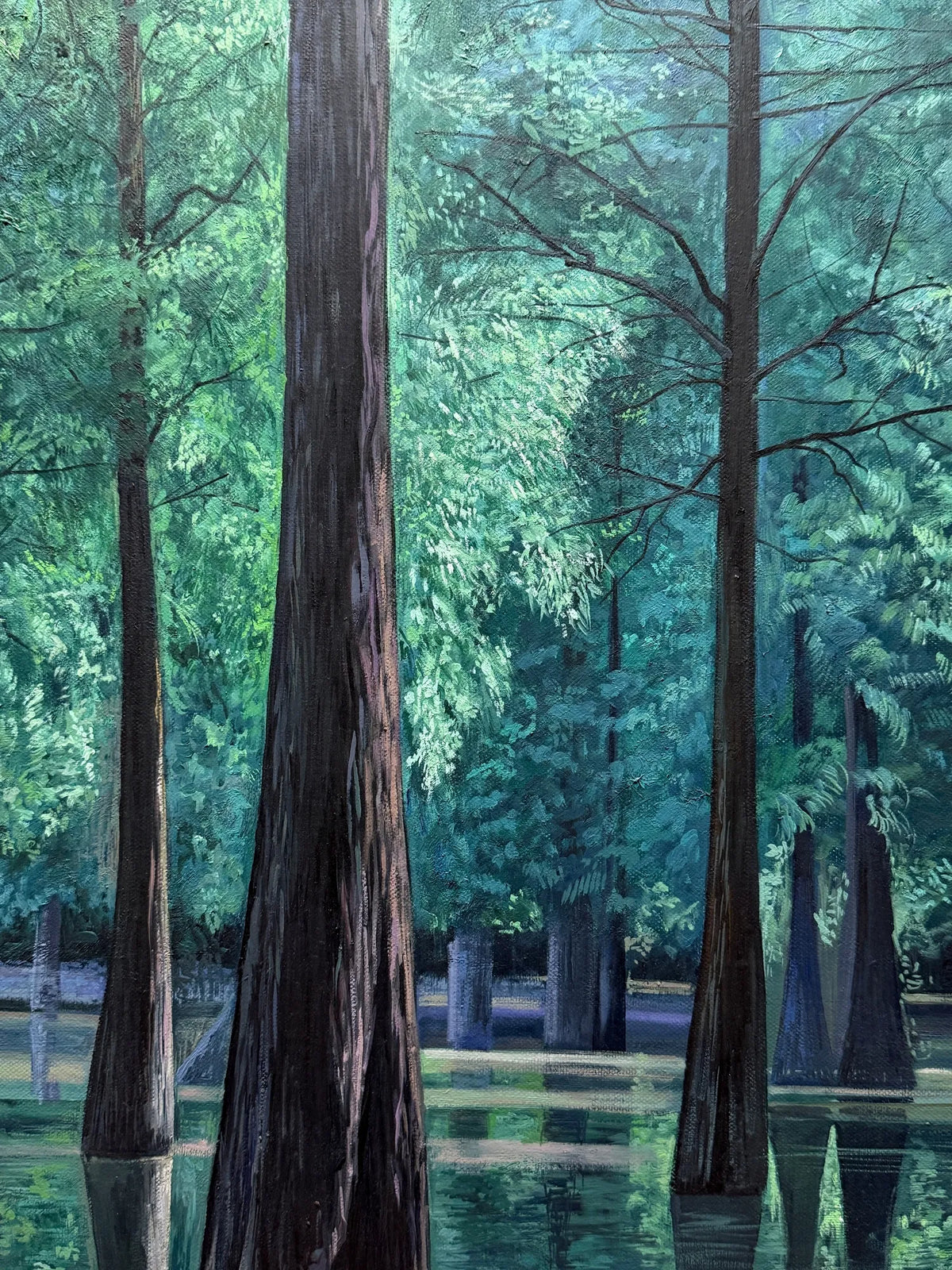 Metasequoia