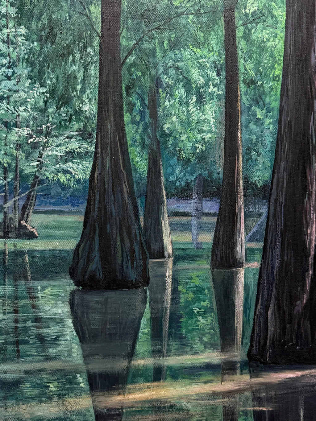 Metasequoia