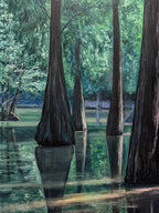 Metasequoia