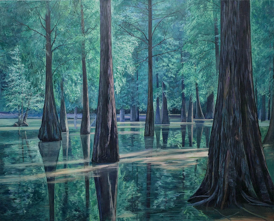 Metasequoia