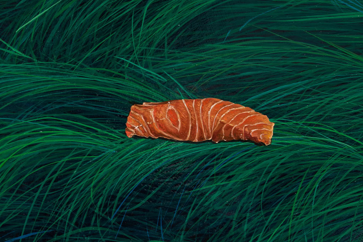 Wild-Caught Salmon