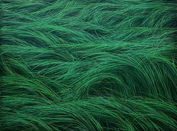 Wind